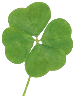 Four-leaf clover for perFIT
